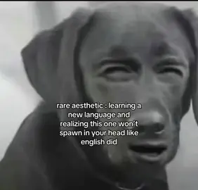 and that you actually have to work on it 🥀🥀 #idiomas #fyp #polyglot 