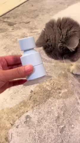 #catsoftiktok #catparents #cats #catowners #cataccessries 