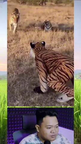 #yourdudh #prank #pranks #prankvideo #hewan 