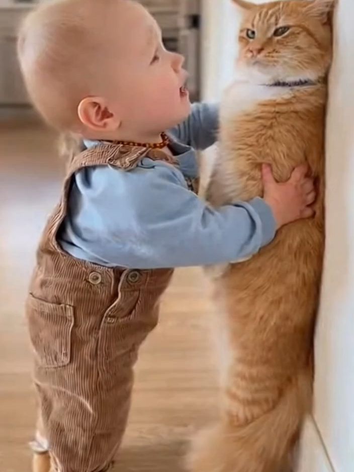 cat & Dog funny short videos hahaha 😝😂🤣😂😝🤣😝😂😝🤣🤣😝🤣😝 #pranked #cat #dog #cattok #funnyvideos