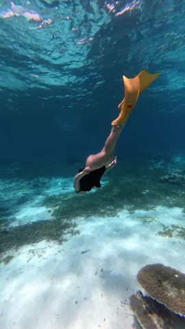 First time coba free dive di laut lepas @WakatobiDiveTrip #wakatobi #tomnia #wakatobiisland🏝 