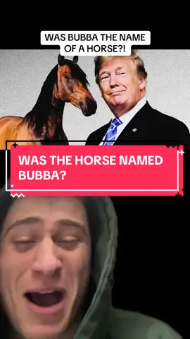 Replying to @Stephanie 🆘 🇺🇸 #greenscreen DID MAXWELL HAVE A HORSE NAMED BUBBA? 😭😭😭 #onepiece #anime #manga #fyp @Nerd Twitch @Triple Nexus 