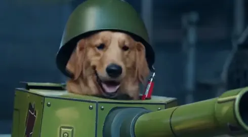 đừng để a nóng nhen kk 😂 #funny #dog #animalfunfacts #xh 