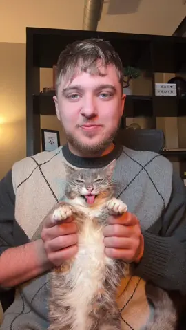 oh rigbycat #fyp #catcontent #rigbycat #catsoftiktok #sillycat 