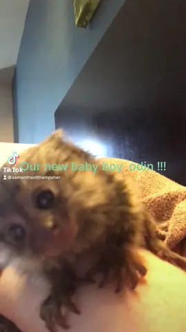 We will miss you my big handsome man  