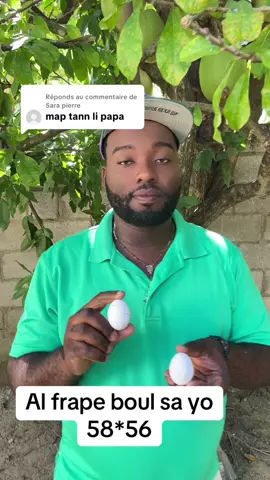 Réponse à @Sara pierre #VoiceEffects #viral #fypシ゚ #vodouhaiti🇭🇹 #miamibeach 