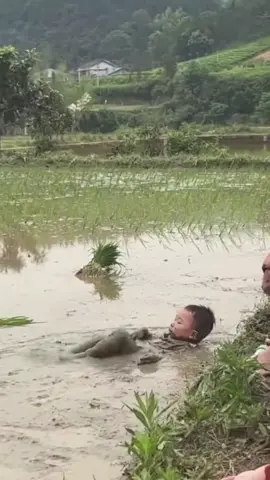 Nơi đẹp nhất chính là nơi ta đã từng đi qua, khoảng thời gian đẹp nhất là khoảng thờii gian không thể quay trở lại🌸☘️💎#nhangianhuyenao #tamtrang #xuhuong #fyp #phongcanhtrangian 