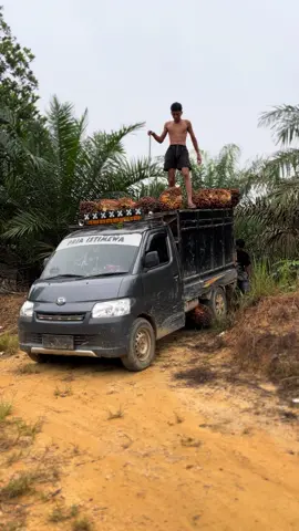 #fypシ #cumakulisawit✌✌ sukuri aja masih ada rajaki nya#fypシ 