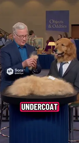 For the love of fur! They do shed a lot! #dog #sora2 #ai #sora #furbaby 