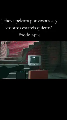 Si te caes 7 veces, te levantas 8. Amen.