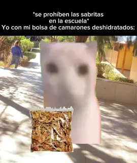 Yo: (JAJAJQHAJ, la foto de fondo fue tomada en mi escuela) #camarones #deshidratados #para #diablo #escuela @grabando_a_pau @Pau 🩷 