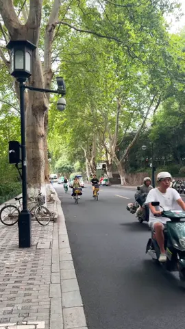 🍂 Khi đến Hàng Châu thì nhất định phải tới đây đạp xe đạp #hangzhou #杭州 