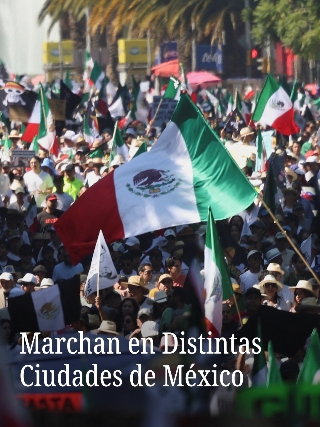 Este sábado 15 de noviembre se registraron movilizaciones en varios puntos del país. El Movimiento del Sombrero y la autodenominada Marcha de la Generación Z tuvieron presencia en más de una decena de ciudades.   La Secretaría de Seguridad Ciudadana informó que en la Ciudad de México participaron alrededor de 17 mil personas. El saldo fue de 100 policías y 20 civiles lesionados, además de 20 personas detenidas. #marchacdmx #genz #Cdmx #Movilidad #Tendencia #Reelnmas