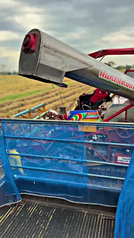 ทีมงานหมู่ 8 ช.ภ.🚀#ฟีดดดシ #เปิดการมองเห็น 