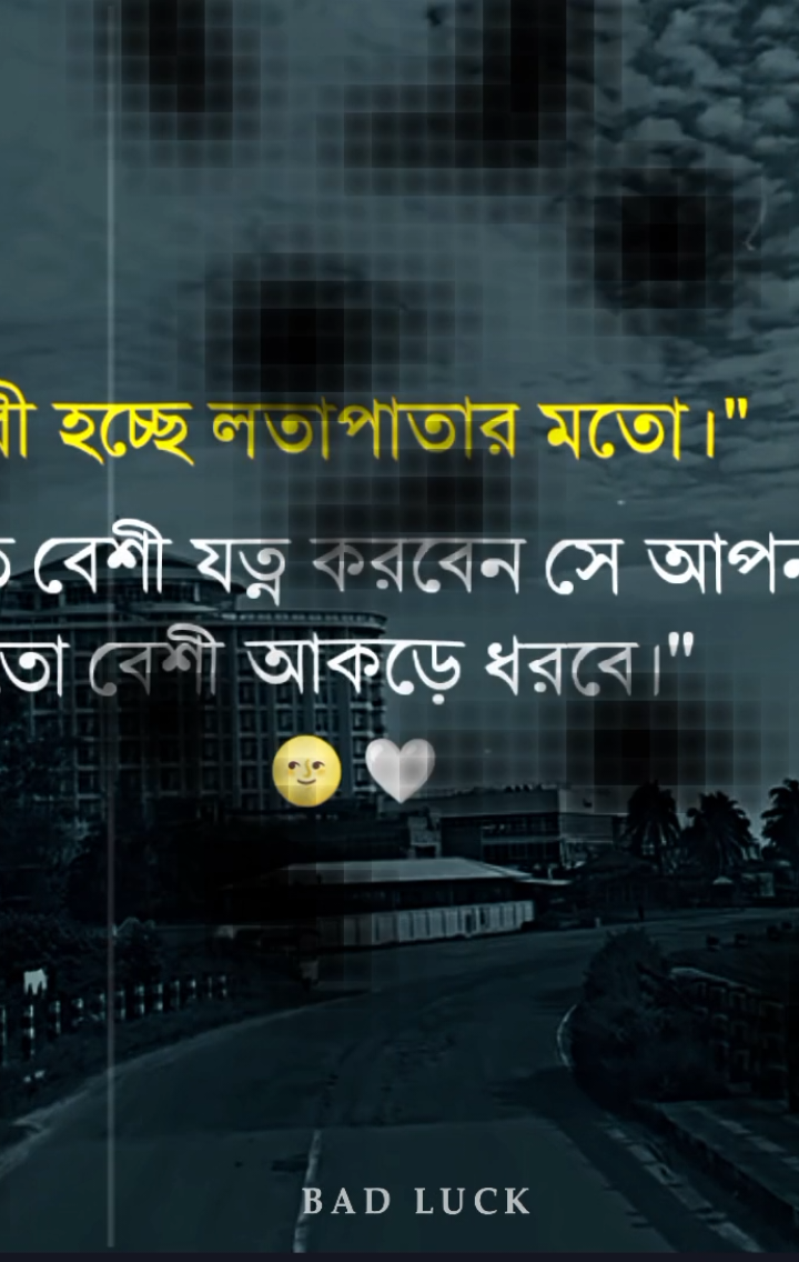 নারী হচ্ছে লতাপাতার মতো যত বেশী যত্ন করবেন সে আপনাকে ততো বেশী আকড়ে ধরবে।