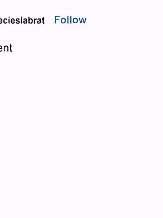 Student submitted the same essay to every class