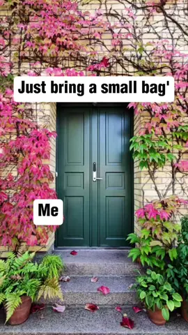 Just bring a small bag.  Me:  #CapCut #capcutpioneer #pioneertemplate #contentcreator #creator 
