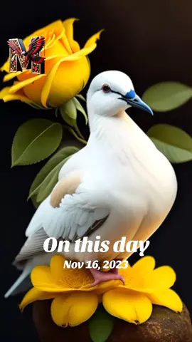 #onthisday #အဖီးလ်သမားလေးကျွန်တော် 