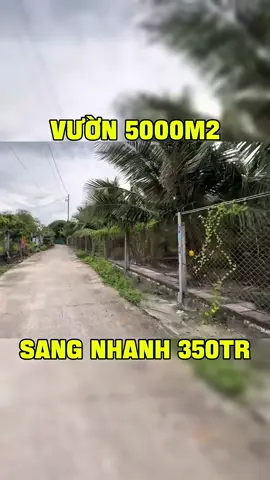 Lh xem đất ạ #batdongsangiare #datbinhduong #reviewbatdongsan #datbinhphuoc #datngop 