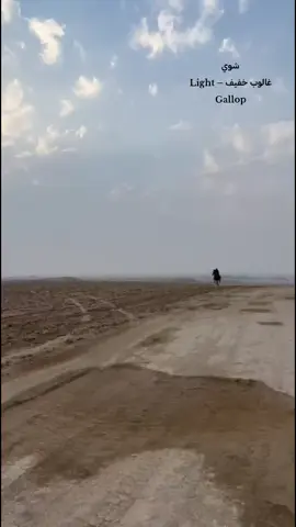 #العاصفه🖤ماشاءالله_غالوب_خفيف_اللهم_بارك_خيل_وخياله🐎🖤ماشاءالله_اللهم #خيل_وخياله🐎🖤ماشاءالله_اللهم_بارك🧿❤️_شرقاط_صلاح_الدين_اصايل_الشرقاط #بعاجه_شكرن_اجميله_السكنية_السوق_الخصم_تلول_الباج_الخضرانيه #مكه_المكرمه_المملكه_العربيه_السعوديه #CapCut 