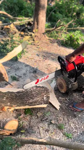 Gergaji mesin 55 cc #chainsaw #gergajimesi #sensor 