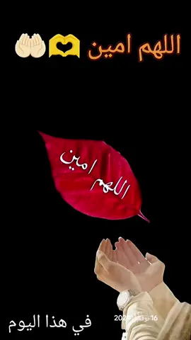 #في هذا اليوم 