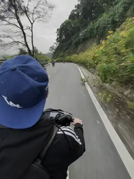 Anh tìm một thoáng bình yên..#xuhuongtiktok #vairal #bavi #hoadaquy #fyp 