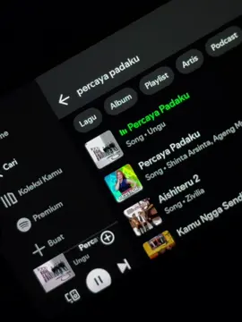 #lyrics #liriklagu #percayapadaku #fyp #spotify 