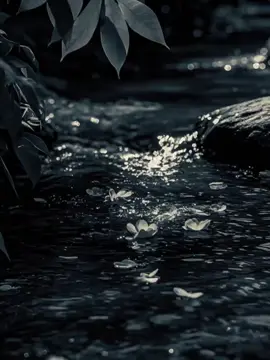 #CapCut #dianastemplate #fypage #foryou #fyp 