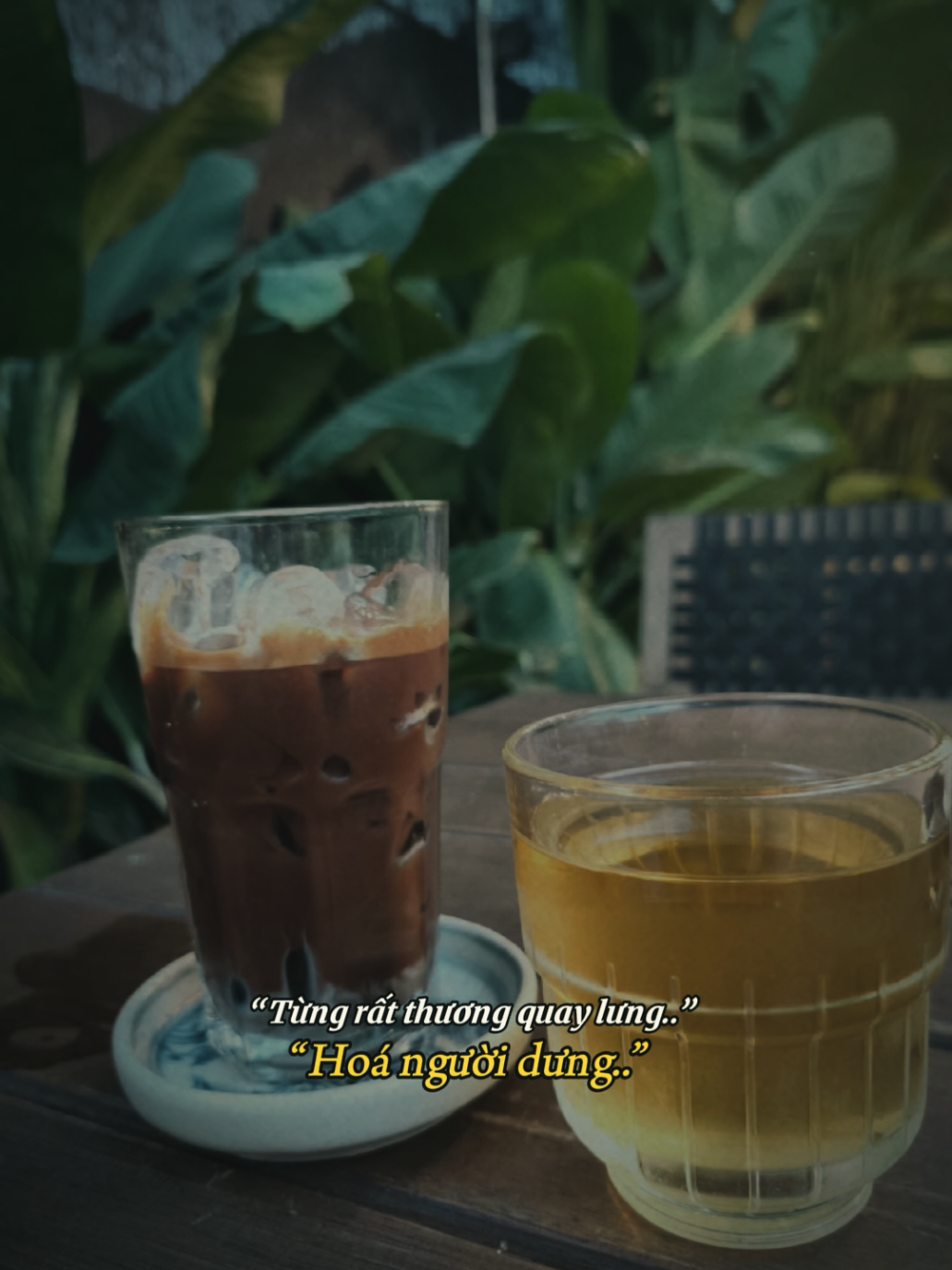 Trả người về tự do...