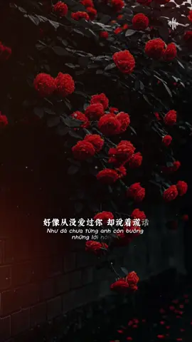 Vội vàng lau đi vết son trên vành môi… #tramnhachay_0203 #BKmuzic  #teddyentertainment 