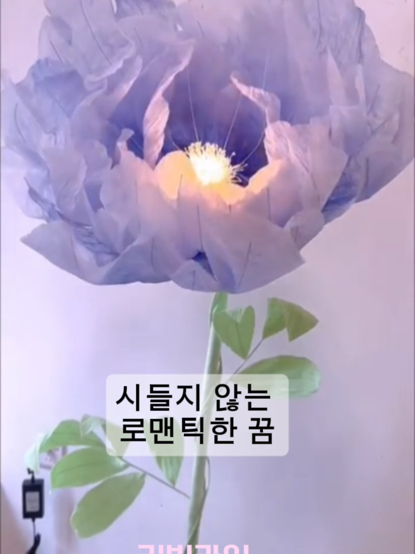 구매는 프로필 링크에서 확인하세요. 친구에게, 연인에게, 혹은 나를 위한 특별한 선물입니다. ​#꽃조명​#홈인테리어​#무드등​#자이언트플라워#파티소품 