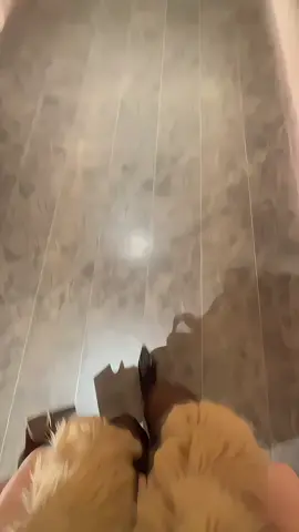 Kiểu người yêu cũ mà đàn ông tiếc nuối nhất; Không phải là cô gái anh ta từng chu cấp, lo từng chút, cũng chẳng phải vì nhan sắc quá xinh đẹp. Mà chính là người con gái đã yêu anh ta bằng tất cả chân thành, còn anh ta lại vô tâm để vuột mất. Cái tiếc không chỉ mất đi một người yêu mình, mà là mất đi cơ hội được bù đắp, được trở thành người đàn ông xứng đáng với tình yêu ấy. Và rồi đến khi nhận ra, thứ duy nhất còn lại chỉ là một khoảng trống không thể lấp đầy.#xh #đời 