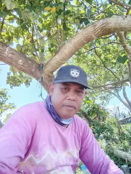 Hiburan di pemancingan dulu😂