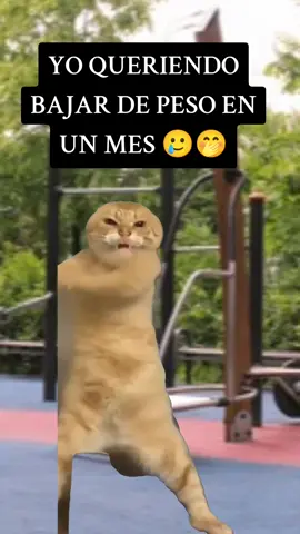 #Meme #MemeCut #CapCut 