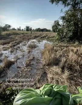 កើតមកជាកូនប្រុសរ៉ាបរងមិនបានមិចបាចកើតមកទេ..