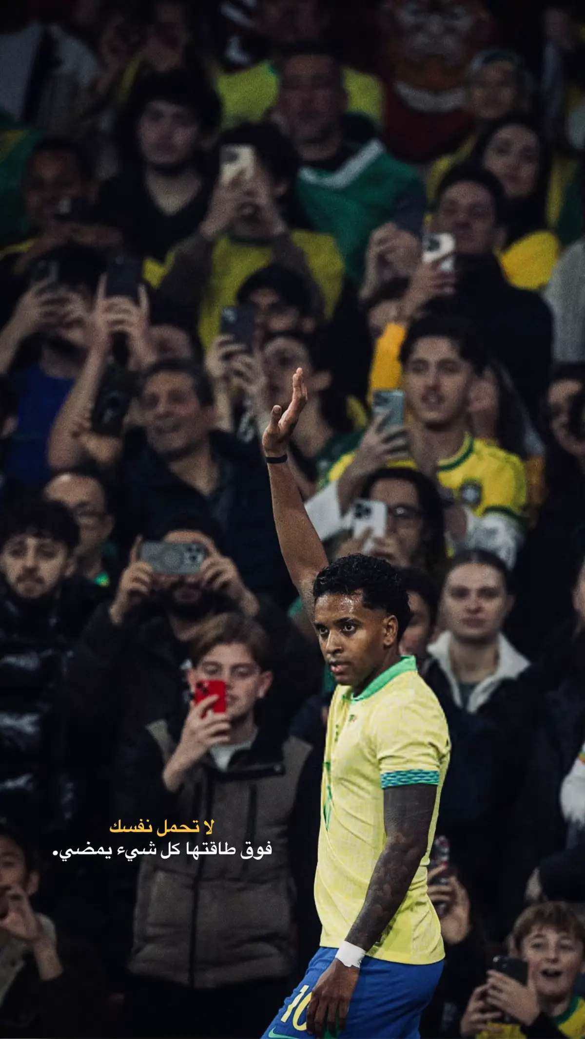 #رودريغو💎 #فينيسيوس #كاسيميرو #البرازيل #ستوريات 