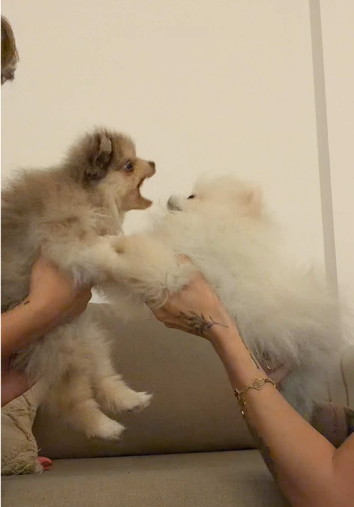 Con nuestros hijos @Guari @Alberee 