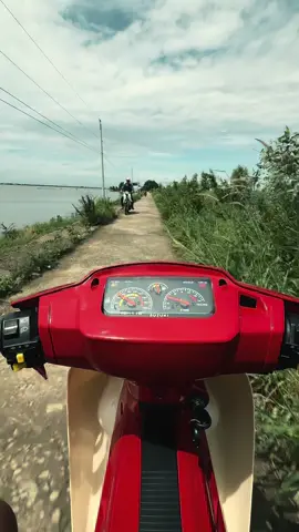 Tiền trong túi mới có tiến nói ở trên đời #xuhuongtiktok#xuhuong#nhactamtrang#xipo  