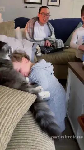 When the cat had enough of baby 😅😅😅#cat#baby#catsoftiktok #funnycat#fyp