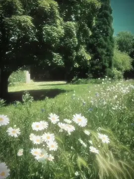 lac vao khu rung hoa....#chill #runghoa #xh #ti̇ktok 