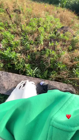 @Kim Chi💫🌷 săn mây thành công 🫰🏻