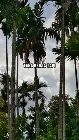 #promomakan1111 #fyppppppppppppppppppppppp #fyp #