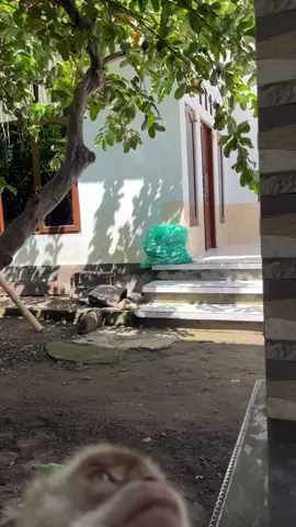 Tag mantan#fyp #fypシ゚ 