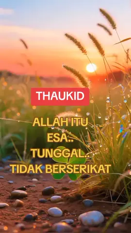 #シ゚viral #シ゚viral 