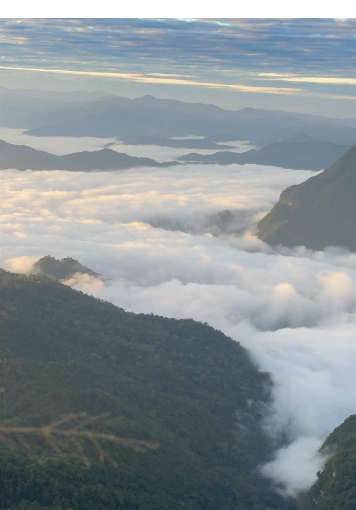 ได้เจอสักทีนะ .. แฮปปี้แล้ววววว  🤍🌄⛰️ #ภูชี้ดาว #ทะเลหมอก #เชียงราย 