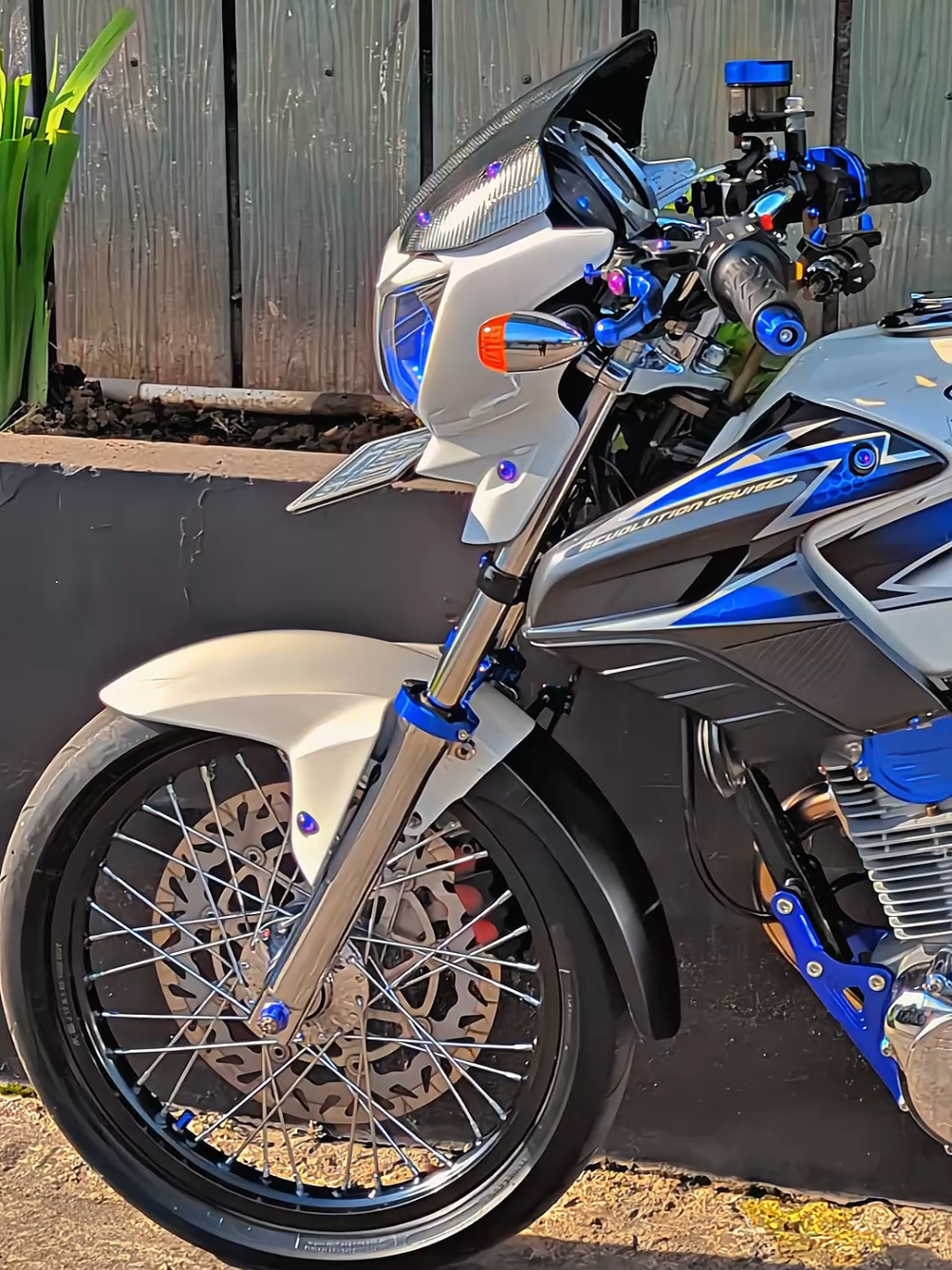 🤍💙#fyppppppppppppppppppppppp #soundold #fyp #tigerrevo #herex 