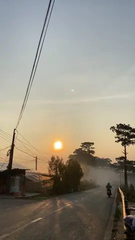 Đ𝐞̣𝐩 𝐧𝐡𝐮̛ 𝐦𝐨̣̂𝐭 𝐛𝐮̛́𝐜 𝐭𝐫𝐚𝐧𝐡 ❤️#chill #xh #fyp #binhminh#dalat 