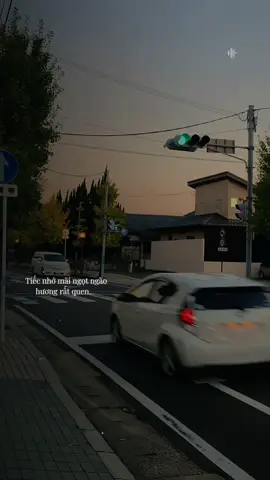 Yêu nhau đi để rồi mai chia ly dù là trong cơn đau còn có nhau…#nhachaymoingay #nhactamtrang #nhac8x9x #nhacbuontamtrang #nguyentruongky0706 