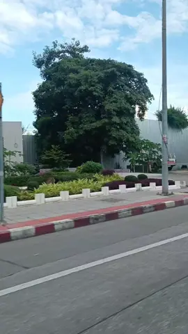 #ဆောင်းတစ်မနက်ဇွတ်Feelတယ်ပေါ့😁#fyppppppppppppppppppppppp #ရောက်ချင်တဲ့နေရာရောက်👌 #foryoupage❤️❤️ 